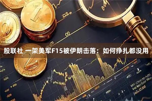 股联社 一架美军F15被伊朗击落：如何挣扎都没用