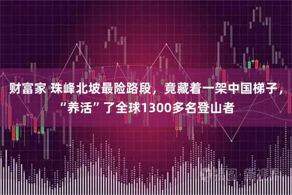 财富家 珠峰北坡最险路段，竟藏着一架中国梯子，“养活”了全球1300多名登山者